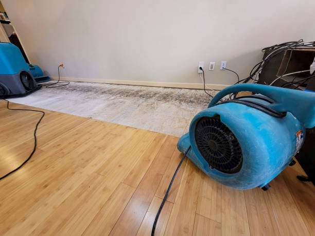 Professional Structural Drying technician working in Livingston, CA